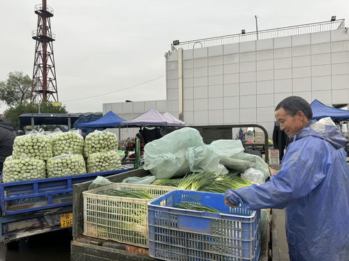 北京新發地市場 助推商戶打造農產品品牌，提升初級農產品價值