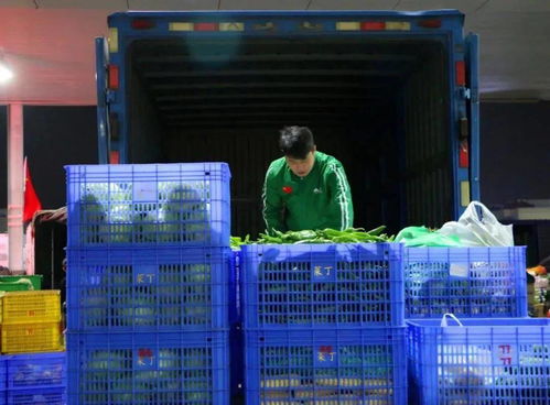 菜丁樂昌農(nóng)產(chǎn)品交易中心 大型農(nóng)副產(chǎn)品批發(fā)市場(chǎng)火爆招商，助力初級(jí)農(nóng)產(chǎn)品流通