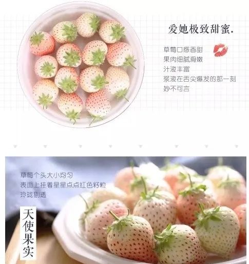 巾幗農(nóng)創(chuàng)銷萬戶 路橋優(yōu)質(zhì)農(nóng)產(chǎn)品線上購(gòu)