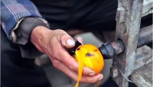 初級農產品 農業行業利潤的隱形“收割機”