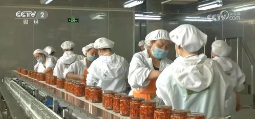 全鏈條推進鄉村特色產業 以農產品加工業提升土特產效益