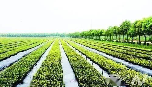 現(xiàn)代農(nóng)業(yè)生產(chǎn)技術(shù)入門 初級(jí)農(nóng)產(chǎn)品生產(chǎn)的基礎(chǔ)知識(shí)